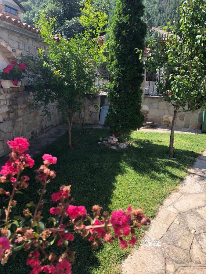 Ambrozia Spa And Relax Family House Batschkowo Exterior foto