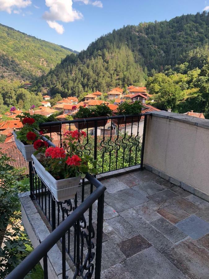 Ambrozia Spa And Relax Family House Batschkowo Exterior foto